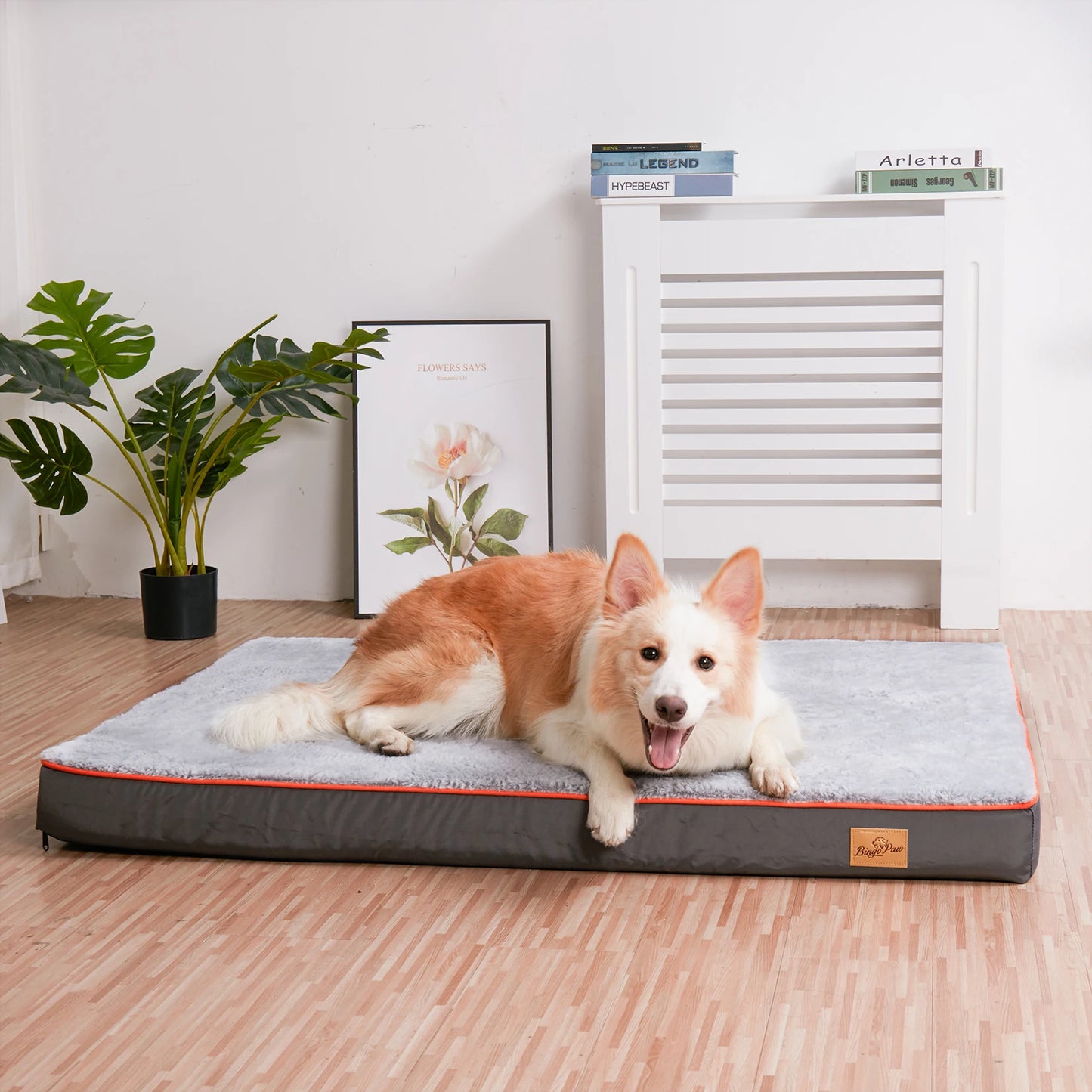 Orthopedic Dog Bed