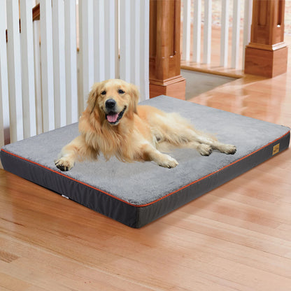 Orthopedic Dog Bed