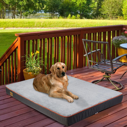 Orthopedic Dog Bed