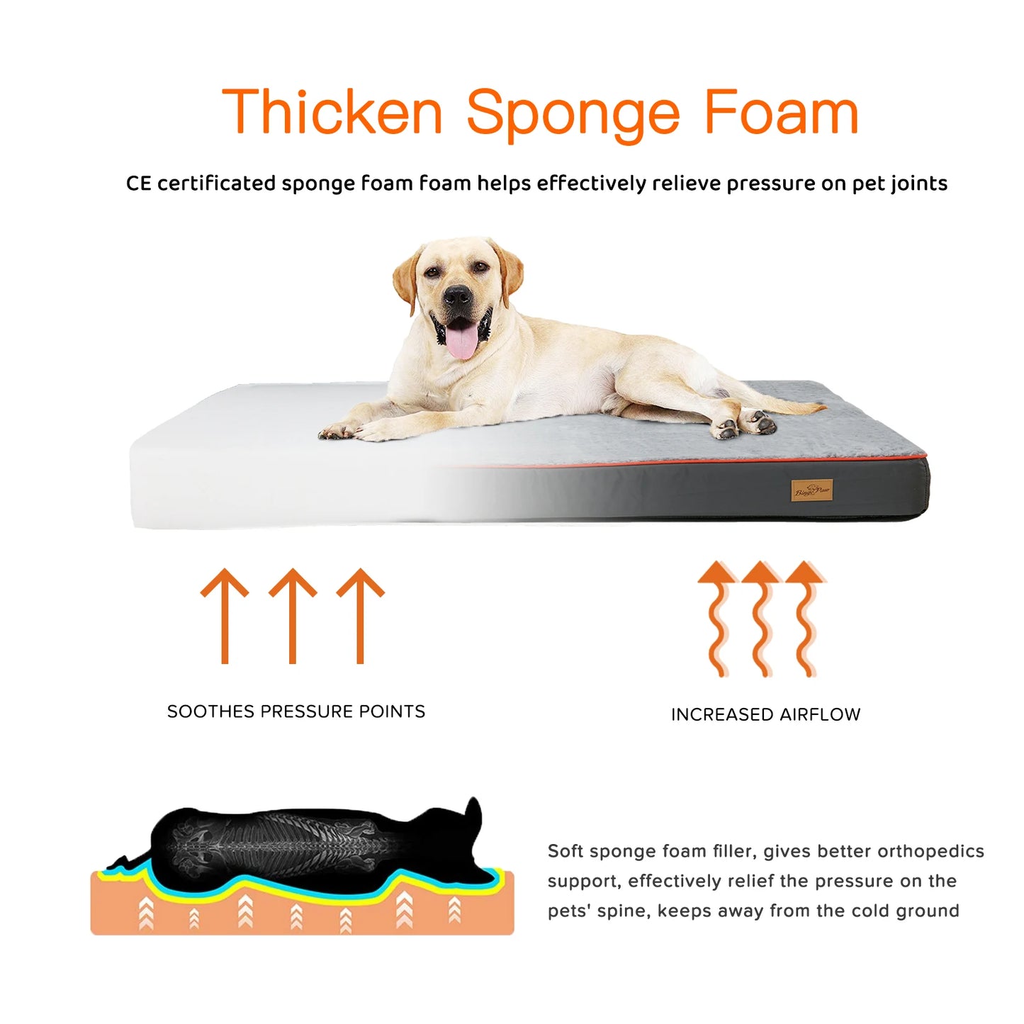 Orthopedic Dog Bed