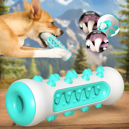 Dog Dental Toy