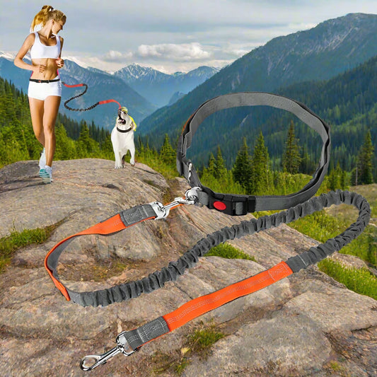 Hand Free Dog Leash with Adjustable Waist Rope