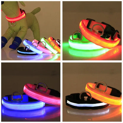 USB Charging LED Dog Collar