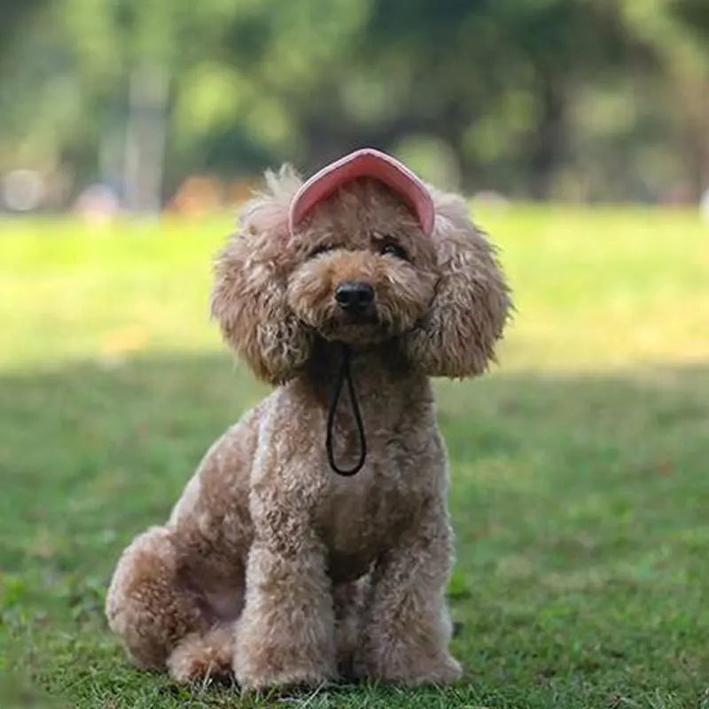 Dog Visor Hat