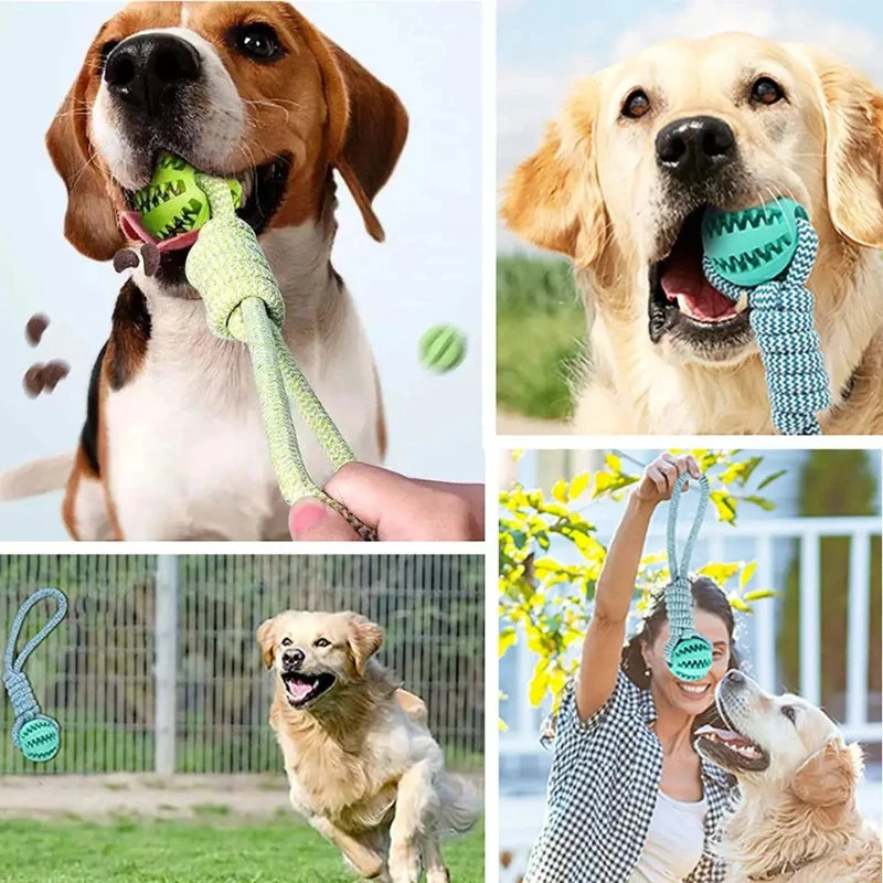 Dog Ball Toy with Rope