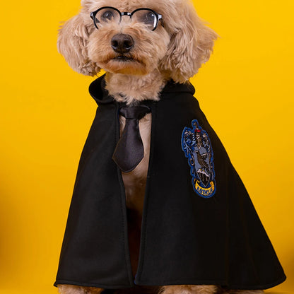 Pet Magic Cape Costume