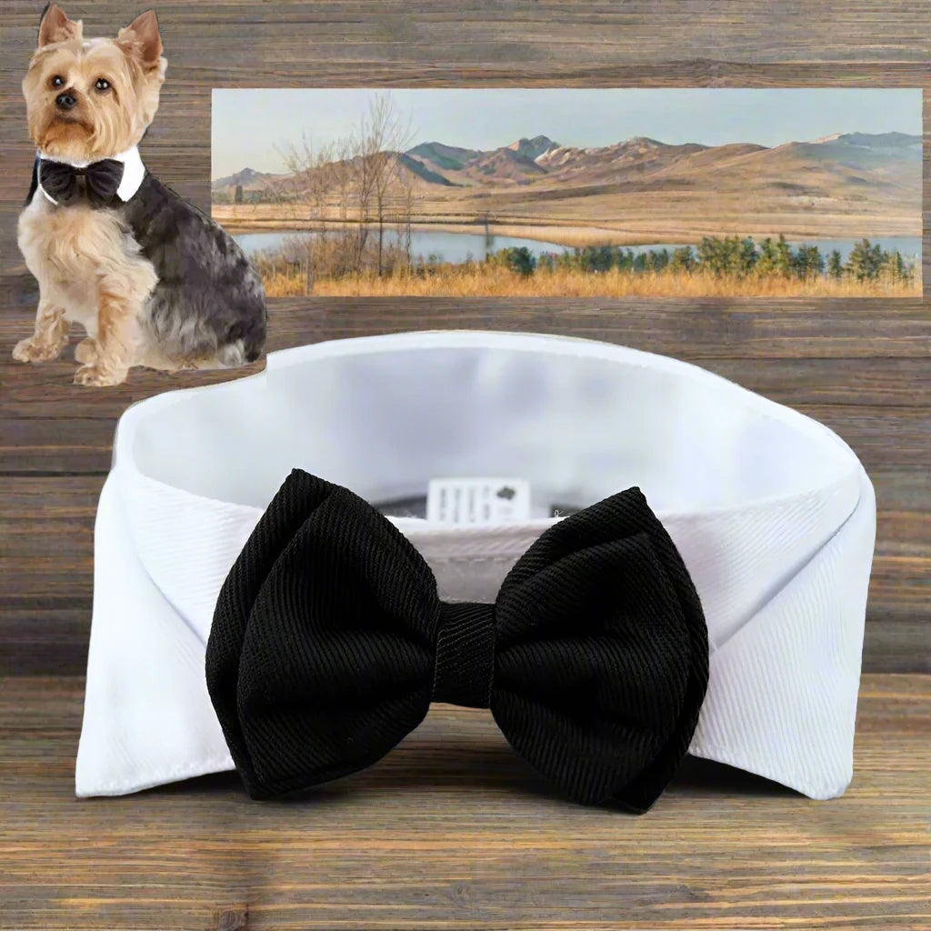 Adjustable Pet Bow Tie