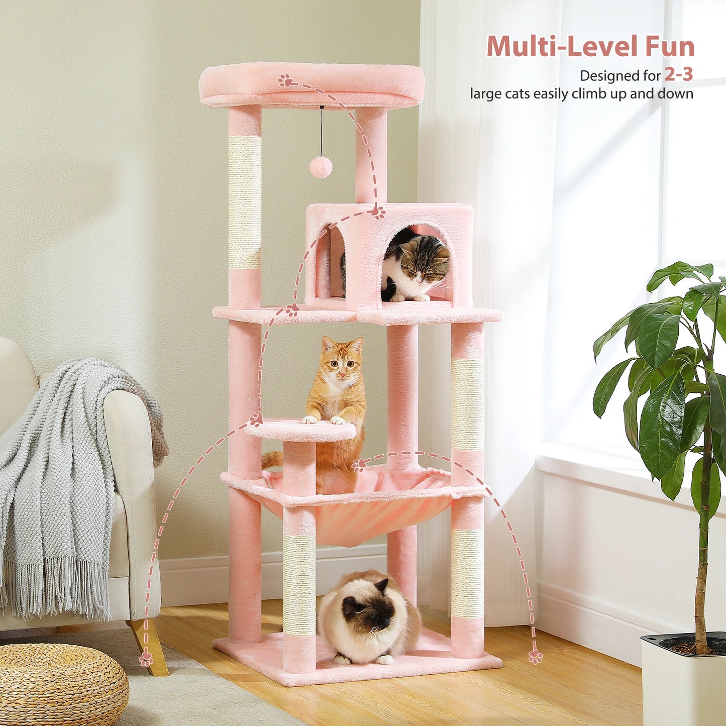 Multi-Level Cat Tree with Condo