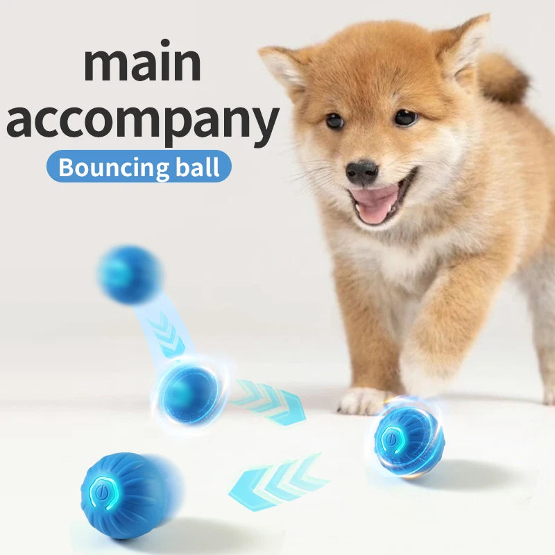 Smart Interactive Dog Ball