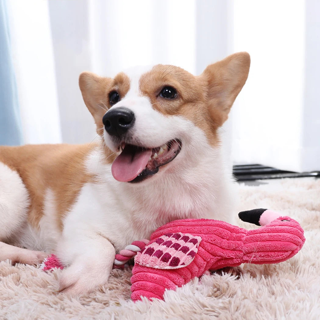 Squeaky Flamingo Teething Tug Toy