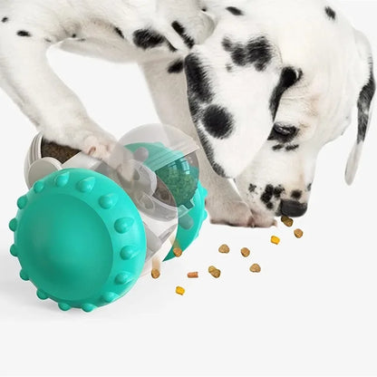 Interactive Puzzle Tumbler Slow Feeder